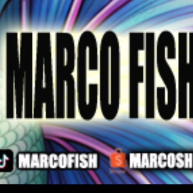 Produk marcofish88 | Shopee Indonesia