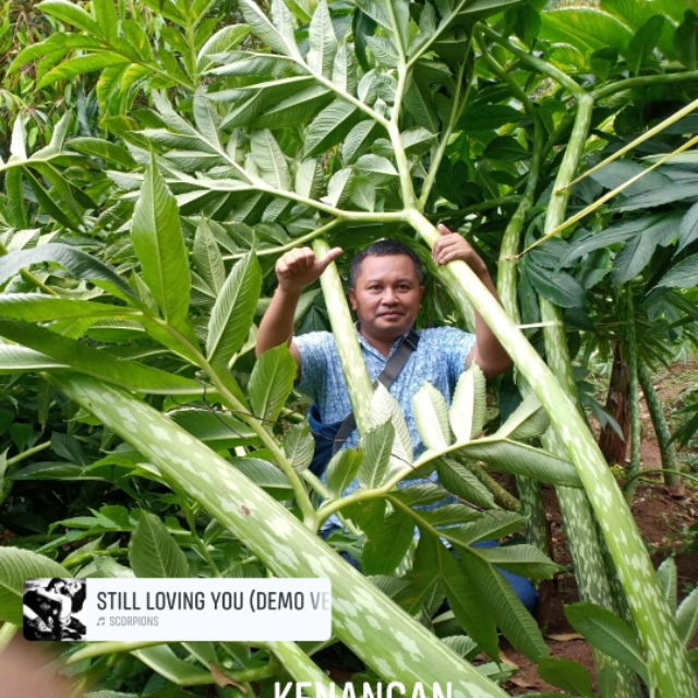 Produk Java_Agro | Shopee Indonesia