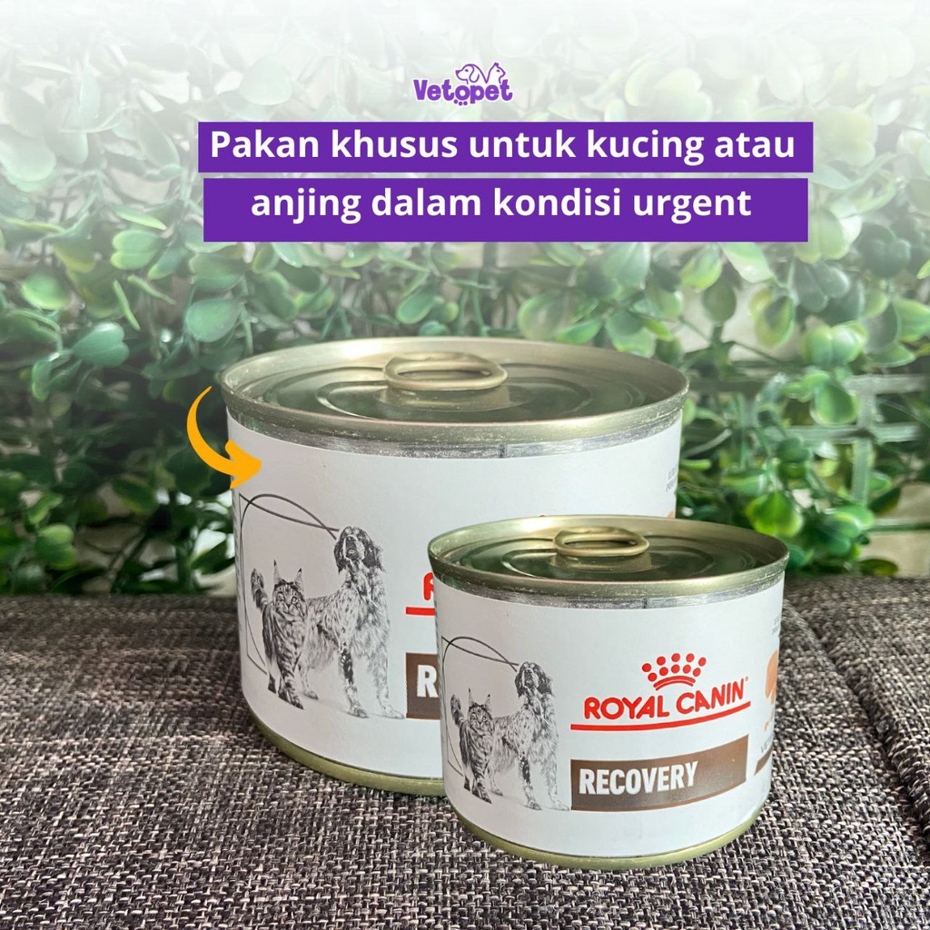 Kandungan royal canin clearance recovery