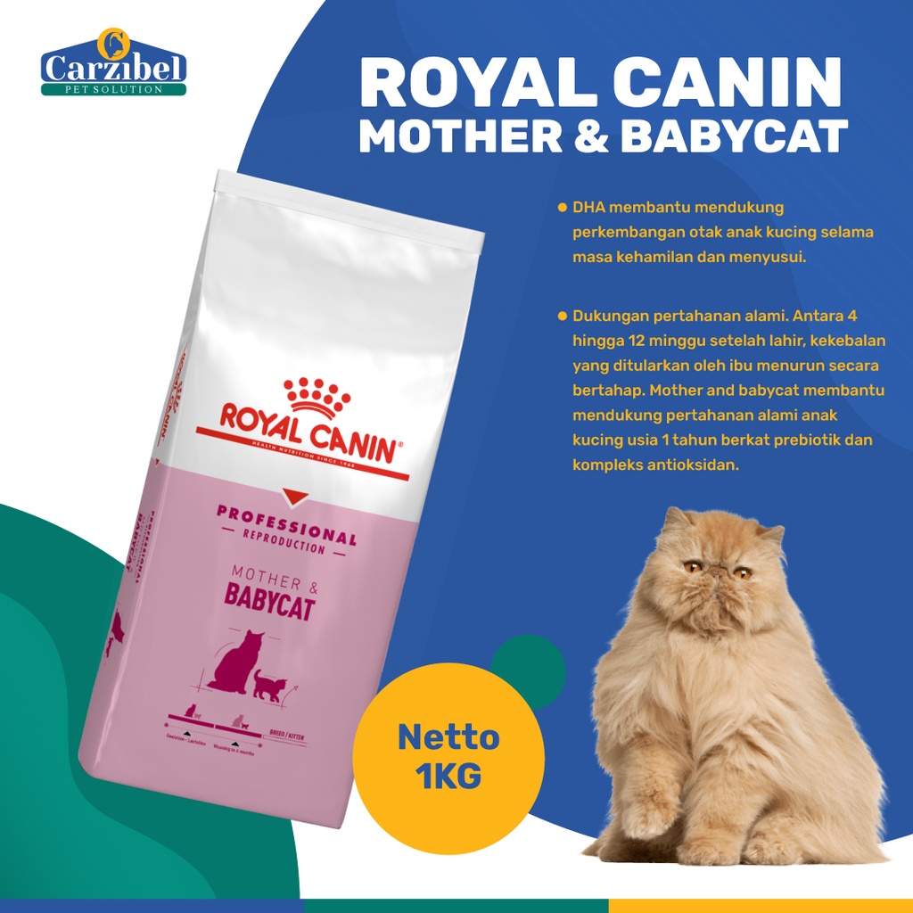 Royal canin professional hotsell mother and baby cat