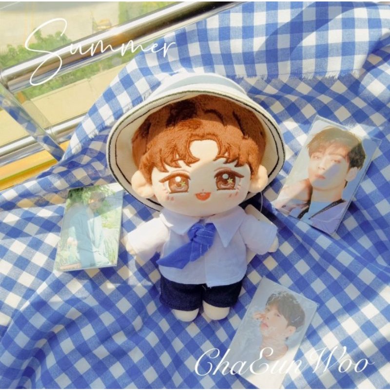 Jual ready stok bisa langsung co eunwoo doll Cha Eun woo