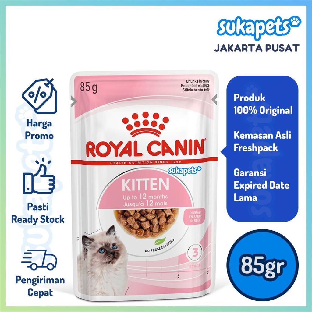 Royal canin hotsell kitten harga