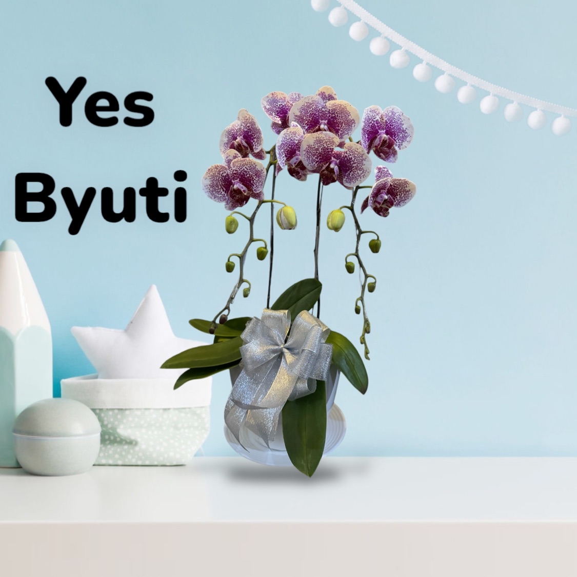 Produk YES BYUTI | Shopee Indonesia