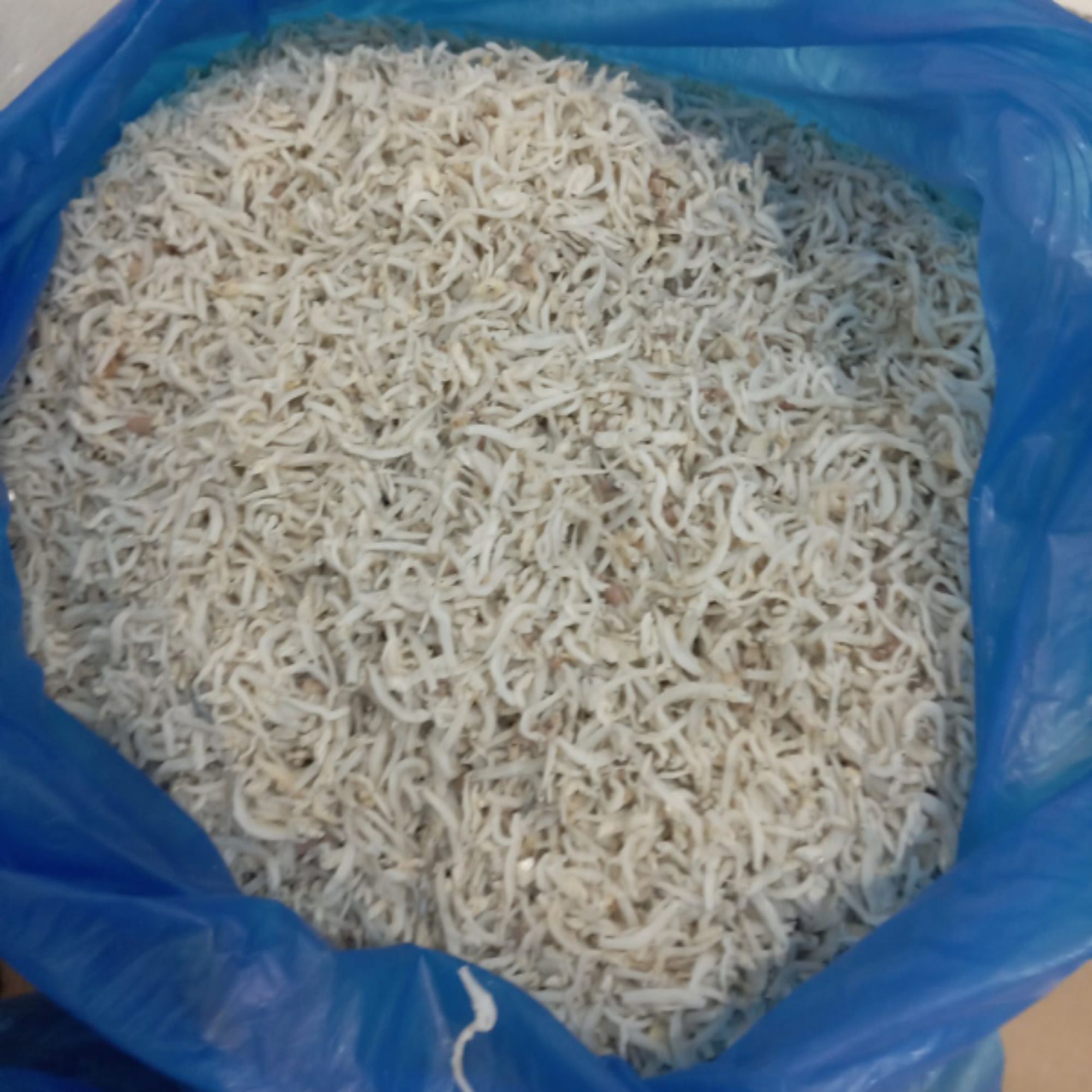 Produk Nipa Manik (Mom Aloi) | Shopee Indonesia